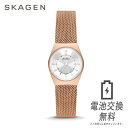 スカーゲン 【ラッピング無料,ベルト調整無料】SKAGEN スカーゲン SKW3035 スーパースリム ローズゴールド ピンクゴールド ホワイトシルバー ステンレススチール メッシュウォッチ GRENEN LILLE グレーネン リル 女性 レディーズ アナログ シンプル ビジネスウォッチ