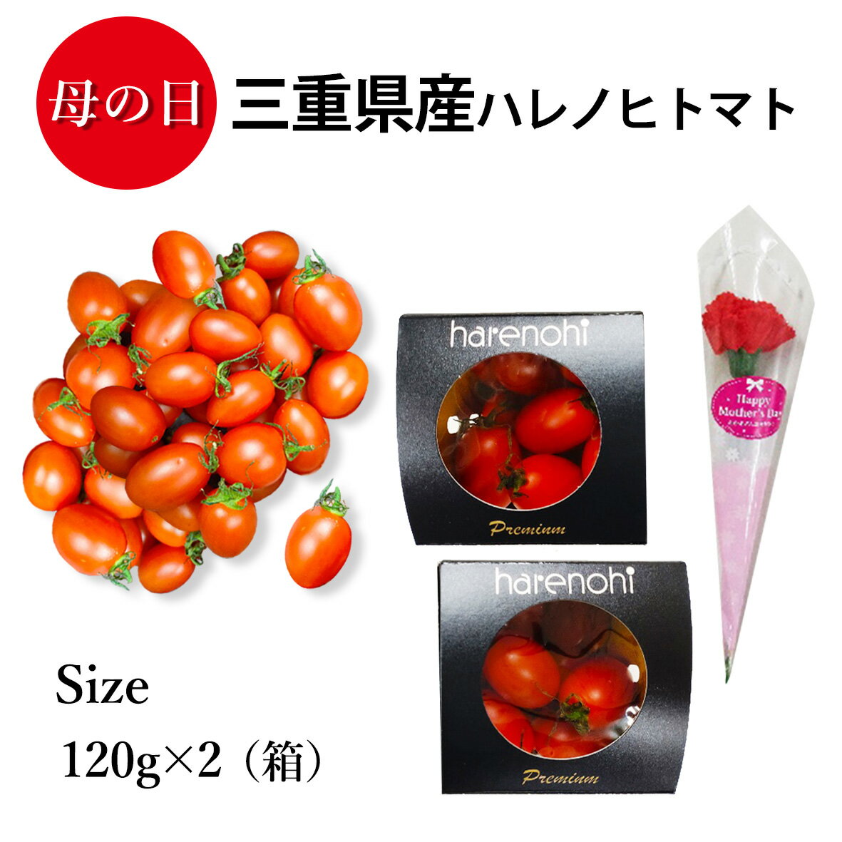 母の日 フルーツギフト 果物 ”奇跡のミニトマト” 三重県産 はれのひトマト 約240g (120g×2箱) 造花カーネーション付き ミニトマト はれのひトマト フルーツのような甘さ 全国ミニトマト選手権入賞 感謝 プレゼント 果物ギフト 冷蔵3℃〜6℃管理 冷蔵配送 母の日ギフト