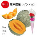 母の日 フルーツギフト くだもの 高級メロン 熊本県産 レノンメロン 約1kg(1玉) 造花カーネーション付き 赤肉メロン ジューシーでとろけるような果肉と濃厚...