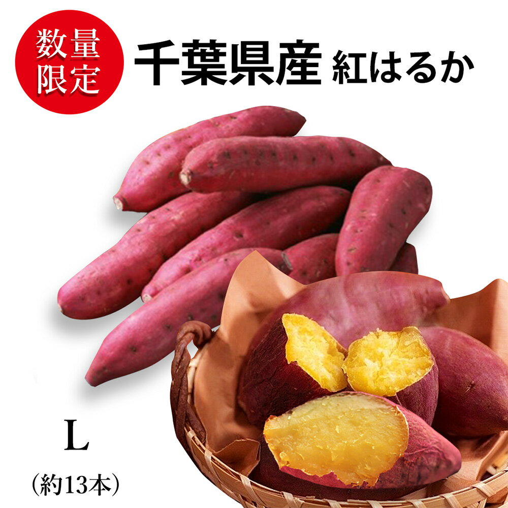 千葉県産 さつまいも| 紅はるか(べにはるか) Lサイズ約13本 約5kg | 高級百貨店陳列野菜 プロが選んだ生産者様にこだわった新鮮野菜 さつまいも 千葉県産 太陽の恵みをたっぷり浴びた千葉県産「紅はるか」さつまいも 蜜のように甘く とろける食感 サツマイモ