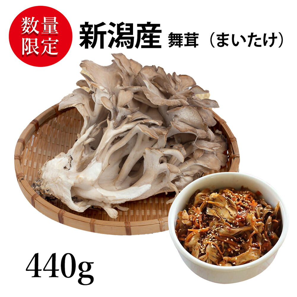 新潟県産 まいたけ| 一株まいたけ 約440g | 高級百貨店陳列野菜 プロが選んだ生産者様にこだわった新鮮野菜 新潟県産 舞茸 料理の主役になる存在感、一株440g、肉厚でジューシー 極上まいたけ 品質管理 冷蔵3℃〜6℃管理 冷蔵配送