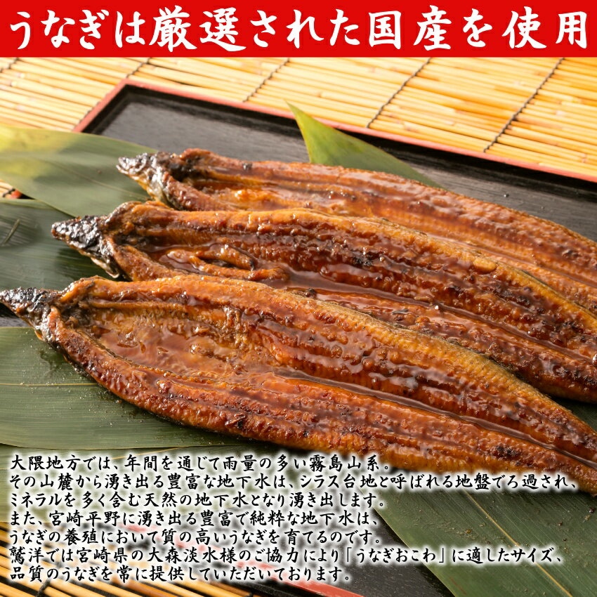 父の日 限定 うなぎ蒲焼 1人前セット ×2 おひつまぶし 1人前セット ×2 国産 贈答品 ギフト プレゼント 土用丑 送料無料 鹿児島 宮崎県産 鰻 ウナギ 食べ比べ【三重おわせ『くき』】