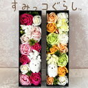 すみっこぐらし しろくま誕生日 記念日 母の日 女性 妻 夫 結婚祝い 退職祝い 送別会 発表会 開店祝 花 フラワーギフト おしゃれ プレゼント ギフト 枯れ...