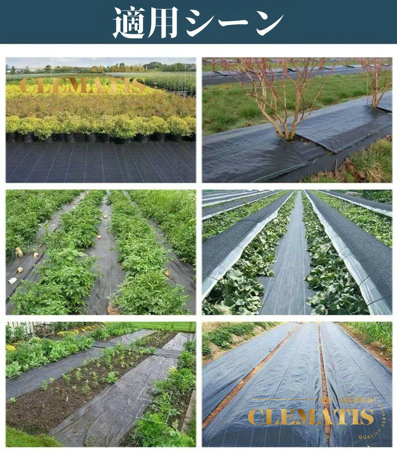 防草シート 超強力防草シート 雑草防止シート 高耐久 除草シート 雑草対策 草除け ...