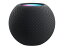 Apple HomePod mini MY5G2J/A [スペースグレイ]【お取り寄せ（10営業日から2週間半程度）での入荷、発..