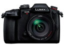 Panasonic LUMIX DC-GH5M2H 高倍率ズームレンズキット【お取り寄せ(5週から7週程度見込み)での入荷、発送】