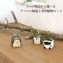 翌日配達 14時〆 多肉植物 5種から選べる3鉢セットシリーズ 観葉植物 プレゼント 男 女 誕生日 お祝い フラワーギフト インテリア 雑貨 オシャレ かわい...