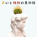 サボテン ミニ おもちゃ インテリア 誕生日 面白 プレゼント 寄せ植え さぼてん 多肉植物 観葉植物 ギフト 雑貨 歳暮 美術 アグリッパ 聖ジョルジョ アリ...