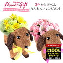 \P5倍!20日限定/生花 アレンジ 誕生日 お祝い アレンジメント 花 ギフト フラワーギフト プレゼント お誕生日 東北〜関西 送料無料 卒業 入学 開店祝...