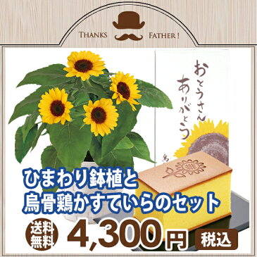 父の日 ギフト ひまわり 烏骨鶏 かすていら カステラ セット 鉢植え 父の日ギフト プレゼント 送料無料