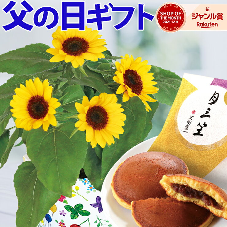 花のギフト社 花の鉢植え 父の日ギフト 父の日 花 ギフト 送料無料 東北〜関西 プレゼント ひまわり 鉢植え 食べ物 スイーツ お菓子 お酒 文明堂 カステラ巻き どら焼き 日光 カステラ こがね芋 わらび餅 日本酒 鉢花 花鉢 花とスイーツ セット クーポン