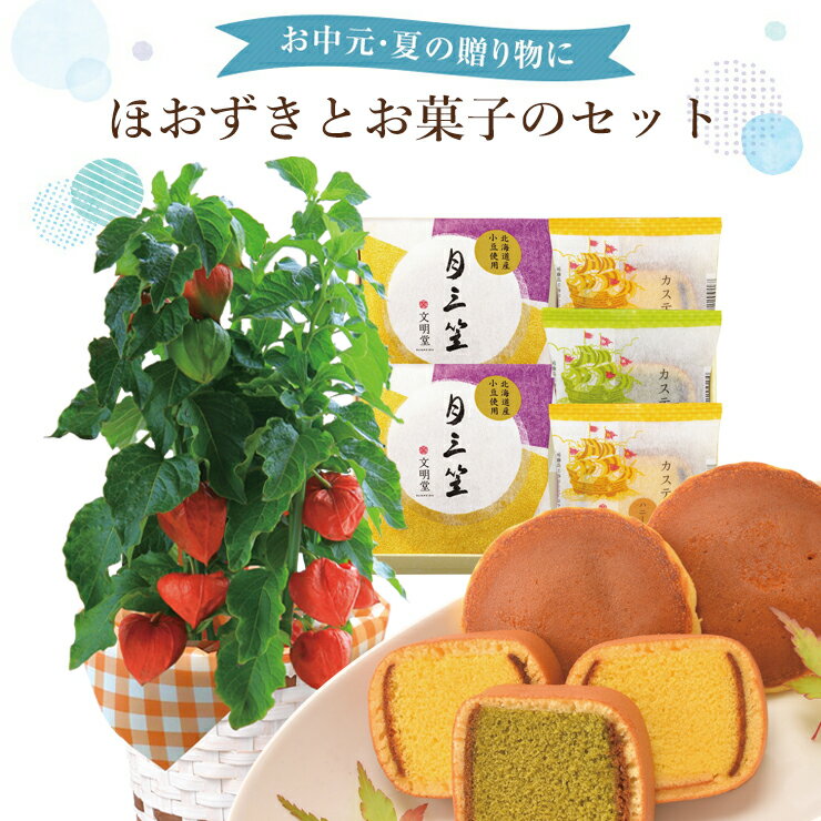 あす楽 14時まで ほおずき 鉢植え ほおずきの鉢植え ホオズキ鉢植え ほおずき鉢植え文明堂詰合セット どら焼き カステラ巻 文明堂 カステラ どら焼き 鉢花 花鉢 フラワーギフト 鉢花 中元 誕生日 プレゼント ほうずき ほおずき市