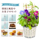 あす楽 14時まで 朝顔 鉢植え あさがお アサガオ 送料無料 6号 鉢 日本朝顔 鉢植え 朝顔の鉢植え 朝顔市 花 鉢花 花鉢 フラワーギフト 中元 誕生日 お祝い プレゼント ギフト 風鈴 わらび餅 日光 カステラ こがね芋 スイーツファクトリー 花のギフト社