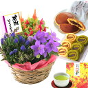 早割 敬老の日 花 ギフト プレゼント 選べる9通り 花 フラワーギフト 選べるお花3種 鉢植え リンドウ ケイトウ 桔梗 アザレア 選べるグルメ3種 文明堂どら焼き ロールケーキ お茶 お菓子
