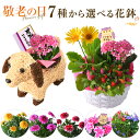 敬老の日 花 ギフト プレゼント 7種から選べる お花 リン...