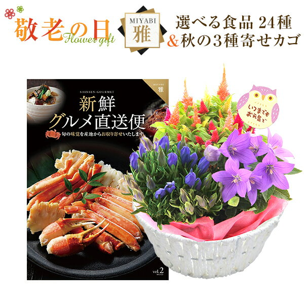 敬老の日 花 ギフト プレゼント カタログギフト 新鮮グルメ直送便 雅コース 秋の3種寄せカゴ 花 リンドウ 鉢植え 鉢花 送料無料 敬老の日プレゼント 花のギフト社