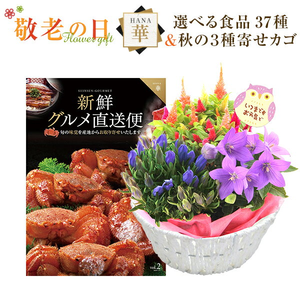 敬老の日 花 ギフト プレゼント カタログギフト 新鮮グルメ直送便 華コース 秋の3種寄せカゴ 花 リンドウ 鉢植え 鉢花 送料無料 敬老の日プレゼント 花のギフト社