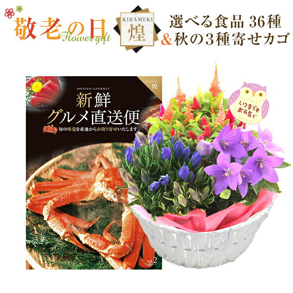 敬老の日 花 ギフト プレゼント カタログギフト 新鮮グルメ直送便 煌コース 秋の3種寄せカゴ 花 リンドウ 鉢植え 鉢花 送料無料 敬老の日プレゼント 花のギフト社