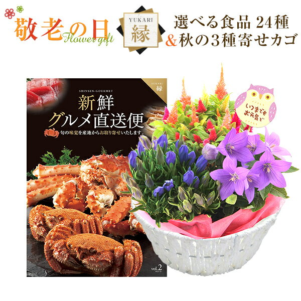 敬老の日 花 ギフト プレゼント カタログギフト 新鮮グルメ直送便 縁コース 秋の3種寄せカゴ 花 リンドウ 鉢植え 鉢花 送料無料 敬老の日プレゼント 花のギフト社