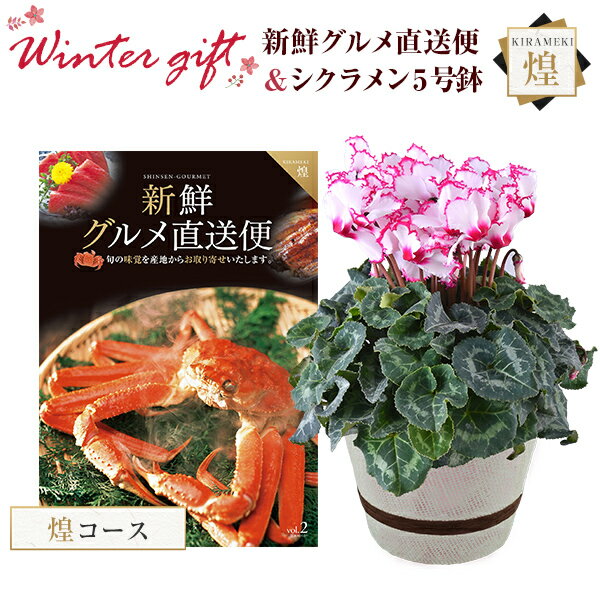 シクラメン 鉢植え 花 ギフト プレゼント カタログギフト 新鮮グルメ直送便 煌コース お花 ビクトリア 5号鉢 鉢花 花鉢 しくらめん 5号 鉢 送料無料 お歳暮 誕生日 フラワーギフト キングマカデミア 花のギフト社