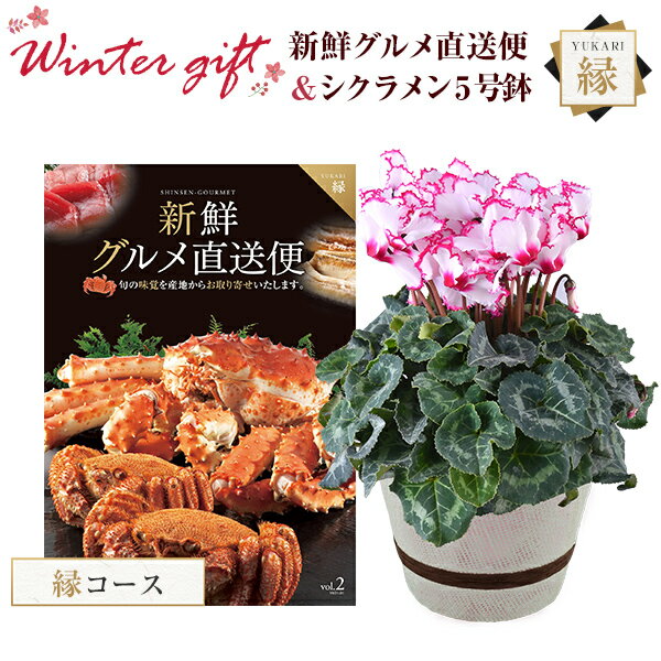 シクラメン 鉢植え 花 ギフト プレゼント カタログギフト 新鮮グルメ直送便 縁コース お花 ビクトリア 5号鉢 鉢花 花鉢 しくらめん 5号 鉢 送料無料 お歳暮 誕生日 フラワーギフト キングマカデミアン 花のギフト社