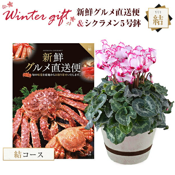 シクラメン 鉢植え 花 ギフト プレゼント カタログギフト 新鮮グルメ直送便 結コース お花 ビクトリア 5号鉢 鉢花 花鉢 しくらめん 5号 鉢 送料無料 お歳暮 誕生日 フラワーギフト キングマカデミアン 花のギフト社