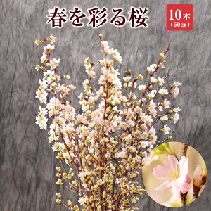 啓翁桜 さくら 桜 10本 花束 切花 生花 サクラ 花 桜のお花 正月桜 フラワーギフト お歳暮 正月 迎春 お正月 誕生日 お祝い 送別会 花ギフト プレゼント お花見 山形 寒河江 正月飾り 花 玄関 置物 モダン おしゃれ お正月飾り けいおう桜