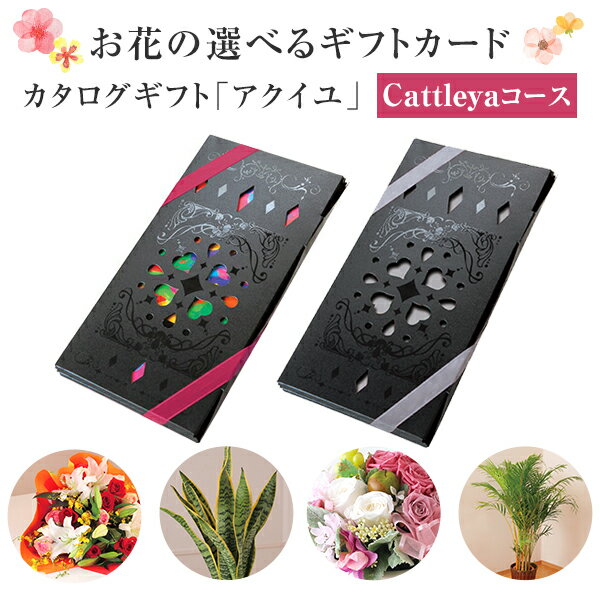 楽天花のギフト社OnlineShopあす楽 14時まで カタログギフト アクイユ カトレアコース 送料無料 花 花ギフト フラワー ギフト プレゼント 鉢植え 花鉢 鉢花 花束 生花 アレンジ プリザーブドフラワー 誕生日 お祝い お祝い返し 内祝い ノベルティ 景品 記念品 粗品 お中元