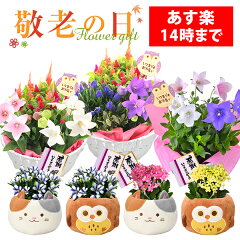 https://thumbnail.image.rakuten.co.jp/@0_mall/087gift/cabinet/event/rh14_02_img14.jpg