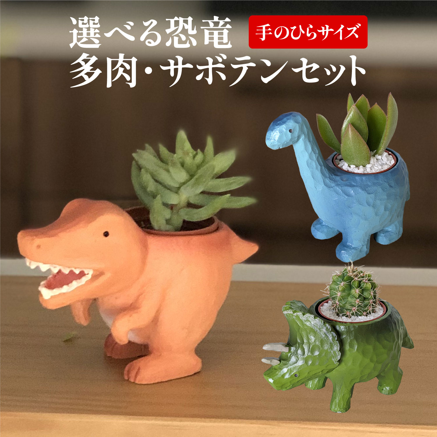 多肉植物 サボテン 鉢植え 多肉 トリケラトプス ティラノサウルス ブラキオサウルス 恐竜 お祝い インテリア 雑貨 オシャレ かわいい 誕生日 プレゼント フラワーギフト サボテン 手のひら ミニ