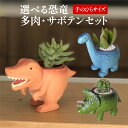 多肉植物 サボテン 鉢植え 多肉 トリケラトプス ティラノサウルス ブラキオサウルス 恐竜 お祝い インテリア 雑貨 オシャレ かわいい 誕生日 プレゼント フラワーギフト サボテン 手のひら ミニ