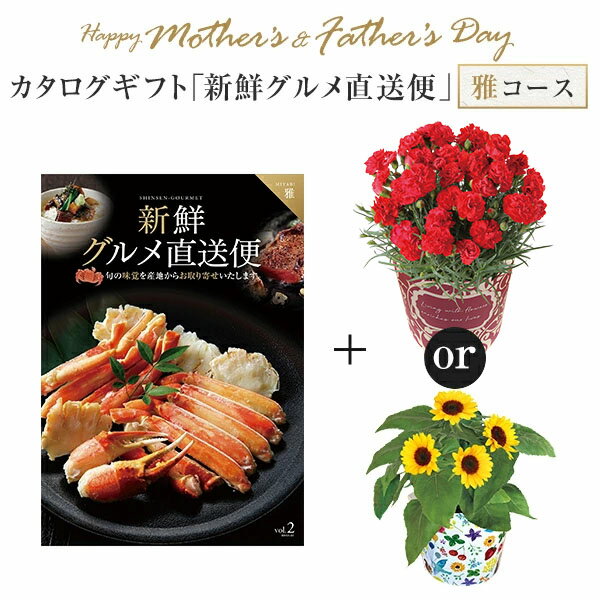 母の日 カーネーション 父の日 ひまわり ギフト プレゼント 花 5号鉢 鉢植え 東北〜関東〜関西送料無料 カタログギフト 新鮮グルメ直送便 雅コース チョイスギフト 母の日プレゼント 鉢花 花鉢 花のギフト社 クーポン