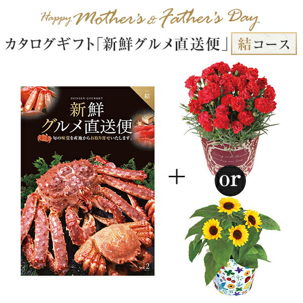 母の日 カーネーション 父の日 父の日 ギフト プレゼント 花 5号鉢 鉢植え 東北〜関東〜関西送料無料 カタログギフト…