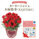 母の日 ギフト プレゼント 花 鉢植え カーネーション 送料無料 お花 母の日プレゼント 鉢花 花鉢 母の日ギフト カタ…