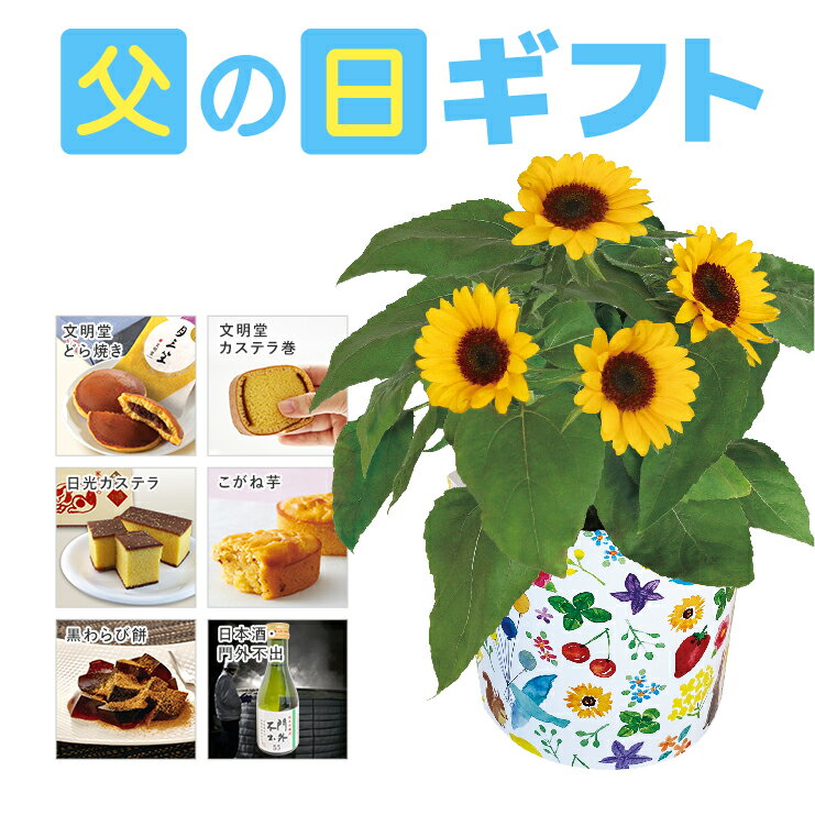 父の日ギフト 父の日 花 ギフト 送料無料 東北〜関西 プレ