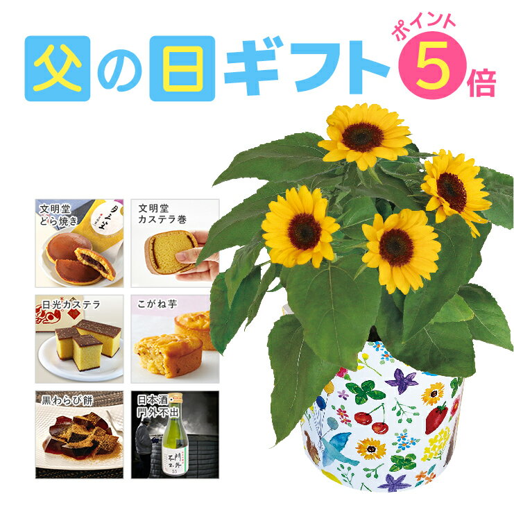 【ポイント5倍！5/26まで】 父の日ギフト 父の日 花 ギフト 送料無料 東北〜関西 プレゼント ひまわり 鉢植え 食べ物 スイーツ お菓子 お酒 文明堂 カステラ巻き どら焼き 日光 カステラ こがね芋 わらび餅 日本酒 鉢花 花鉢 花とスイーツ セット