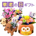 敬老の日 プレゼント 花 ギフト 生花 アレンジメント 花鉢 鉢植え 敬老 メッセージカード 孫 リンドウ 白寿 アザレア 竜胆 ふくろう フクロウ 犬 敬老の...