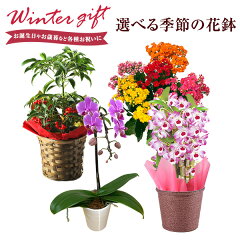 https://thumbnail.image.rakuten.co.jp/@0_mall/087gift/cabinet/goods1/1811_img.jpg