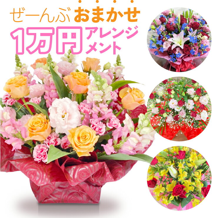 おまかせ アレンジメント 花束 フラワーギフト プレゼント 誕生日 結婚祝い 開店祝い 退職祝い 還暦祝い 記念日 お祝い お供え 生花 おしゃれ 花 フローリストにおまかせ 1万円 送料無料 メッセージカード 立て札 立札 ラッピング