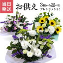 翌日配達 14時〆 お供え 花 お彼岸 生花 アレンジメント お悔やみ 贈り物 命日 法事 法要 進物用 お盆 初盆 お供え物 おそなえ ギフト アレンジ フラ...