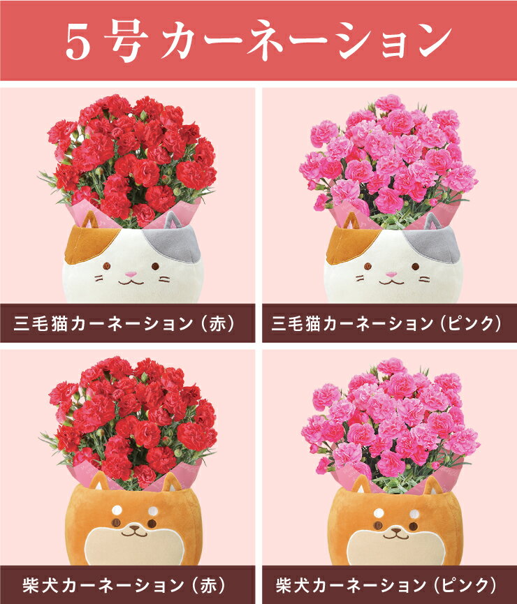 ����� �ץ쥼��� ���ե� �����͡������ �� ȭ���� �ե����ե� ��ȭ ȭ�� ���� ���̡����� ����̵�� ������� ���襤�� ��������ե� ������ץ쥼��� ����ǭ ǭ �� �֤Υ��եȼ�