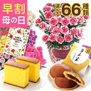 \P5倍!20日限定/★早割★ 母の日 プレゼント カーネーション 鉢植え 花 ギフト 2025 スイーツ お菓子 和菓子 スイーツセット 文明堂 カステラ 花...