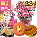 ★早割★ 母の日 プレゼント カーネーション 鉢植え 花とお菓子 母の日ギフト 母の日プレゼント お菓子 文明堂 どら焼き