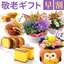 敬老の日 プレゼント 花 スイーツ ギフト 鉢植え 花鉢 鉢花 生花 敬老 メッセージカード 孫 お菓子 和菓子 洋菓子 文明堂 どら焼き こがね芋 カステラ巻 リンドウ 竜胆 ふくろう フクロウ はな 敬老の日プレゼント フラワーギフト