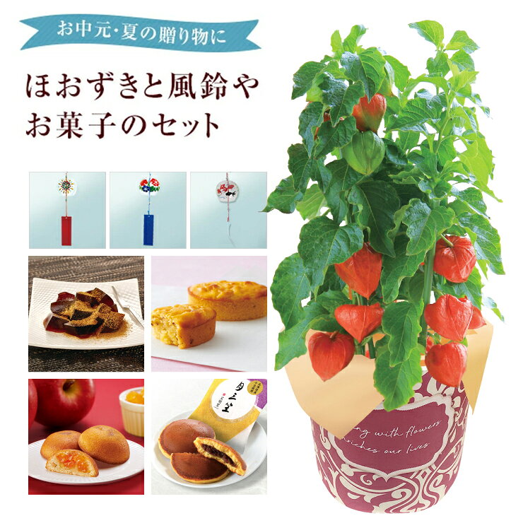 予約受付！ほおずき 鬼灯 ホオズキ 実 100個 ほおずき 鬼灯 法月