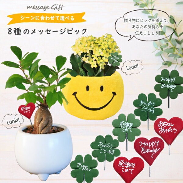 【セットで購入品】選べるメッセージ ピック よつば クローバ ハート HAPPY BIRTHDAY ありがとう鉢植え 植物