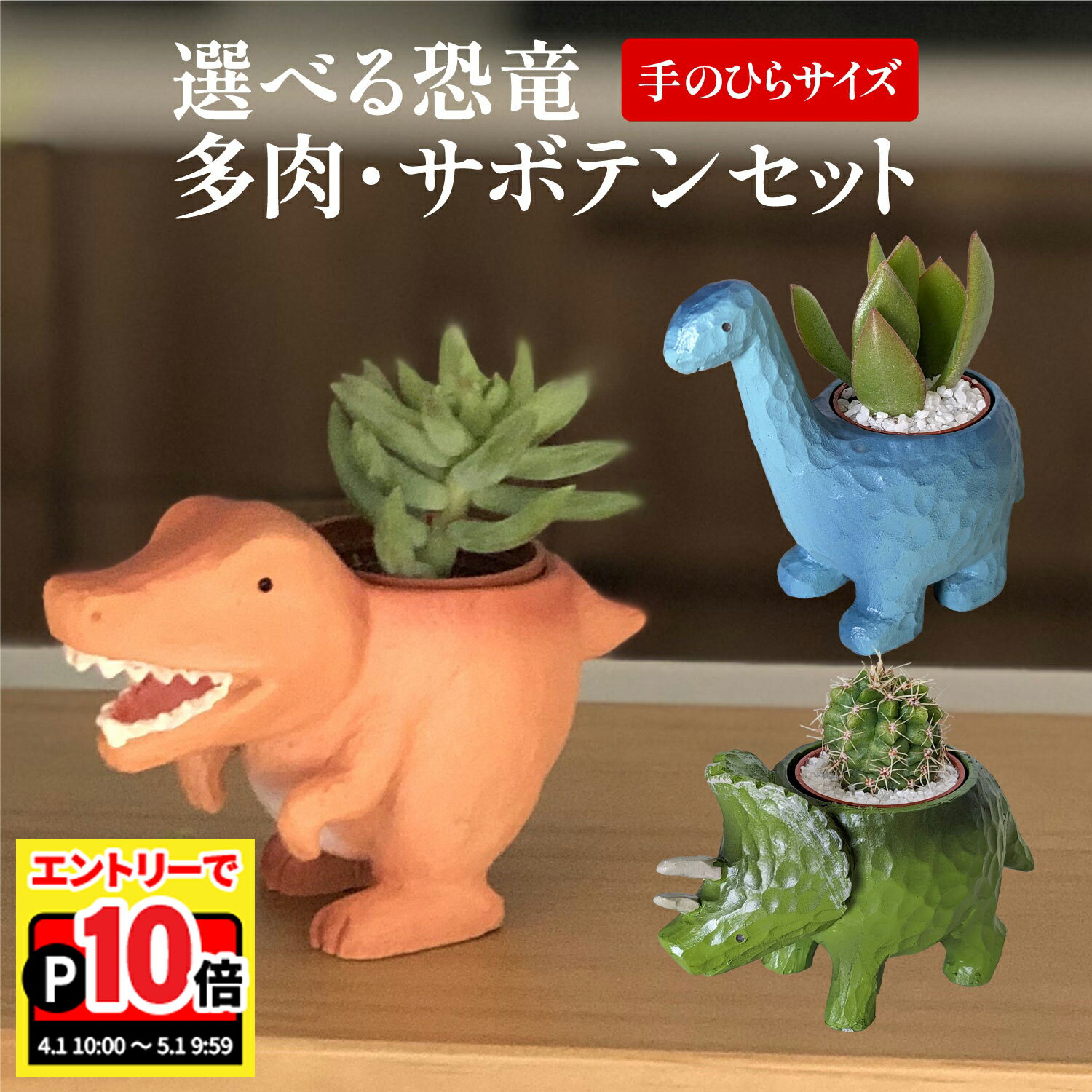 乐天商城 - 【エントリーでポイント10倍】当日発送17時〆 多肉植物 サボテン 鉢植え 多肉 トリケラトプス ティラノサウルス ブラキオサウルス 恐竜 お祝い インテリア 雑貨 オシャレ かわいい 誕生日 プレゼント フラワーギフト サボテン 手のひら ミニ