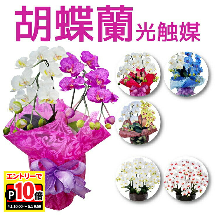 【エントリーでポイント10倍】当日発送17時〆 アートフラワー 胡蝶蘭 こちょうらん コチョウラン 光触媒 コーティング お祝い 開店祝い 誕生日 お祝い 花 還暦 米寿 開院 開業 移転 当選 就任 昇進 退職 お供え 2本立 5本立 ギフト 送料無料