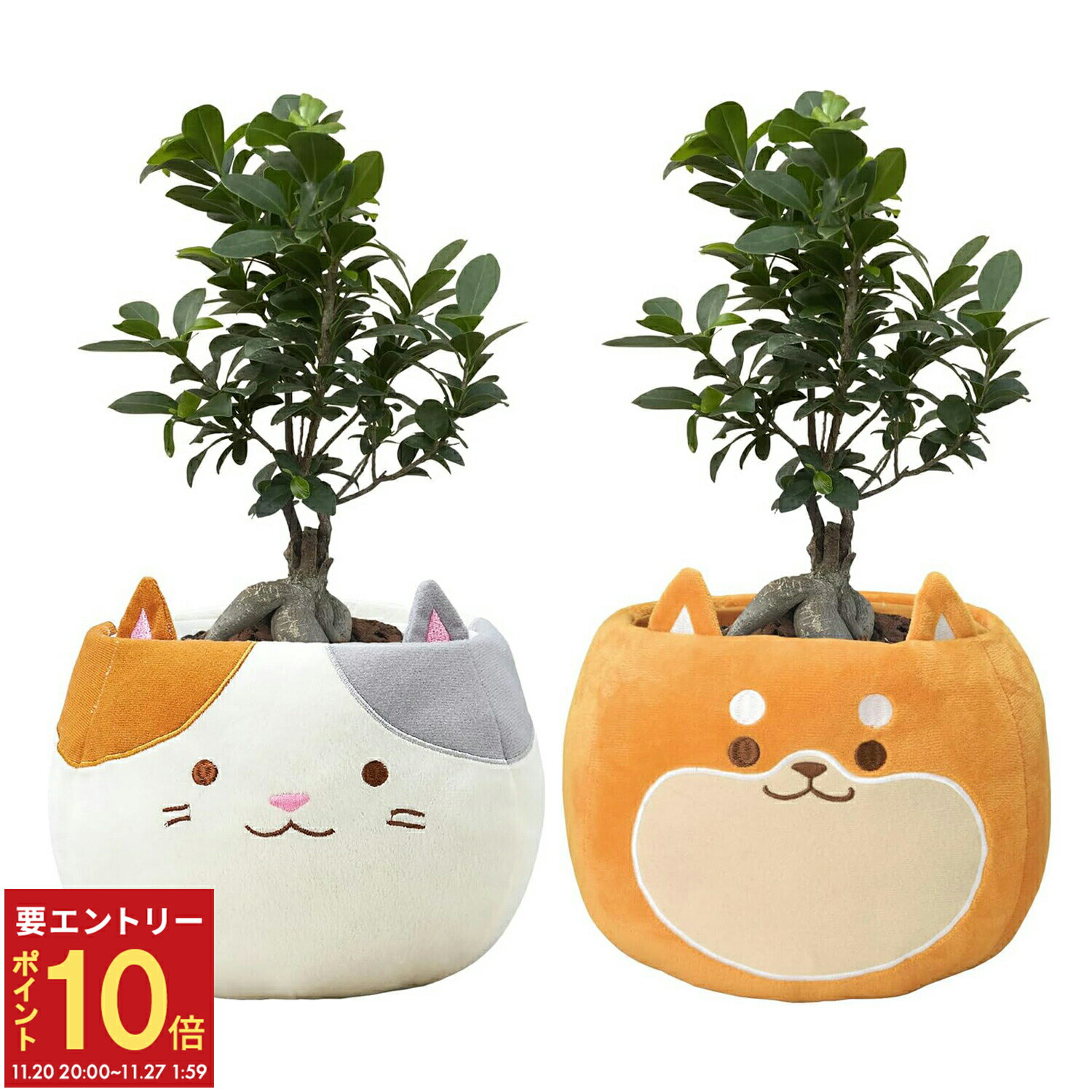 【エントリーでP10倍★20日20時-27日2時】翌日配達 14時〆 観葉植物 インテリア ガジュマル 三毛猫 柴犬..