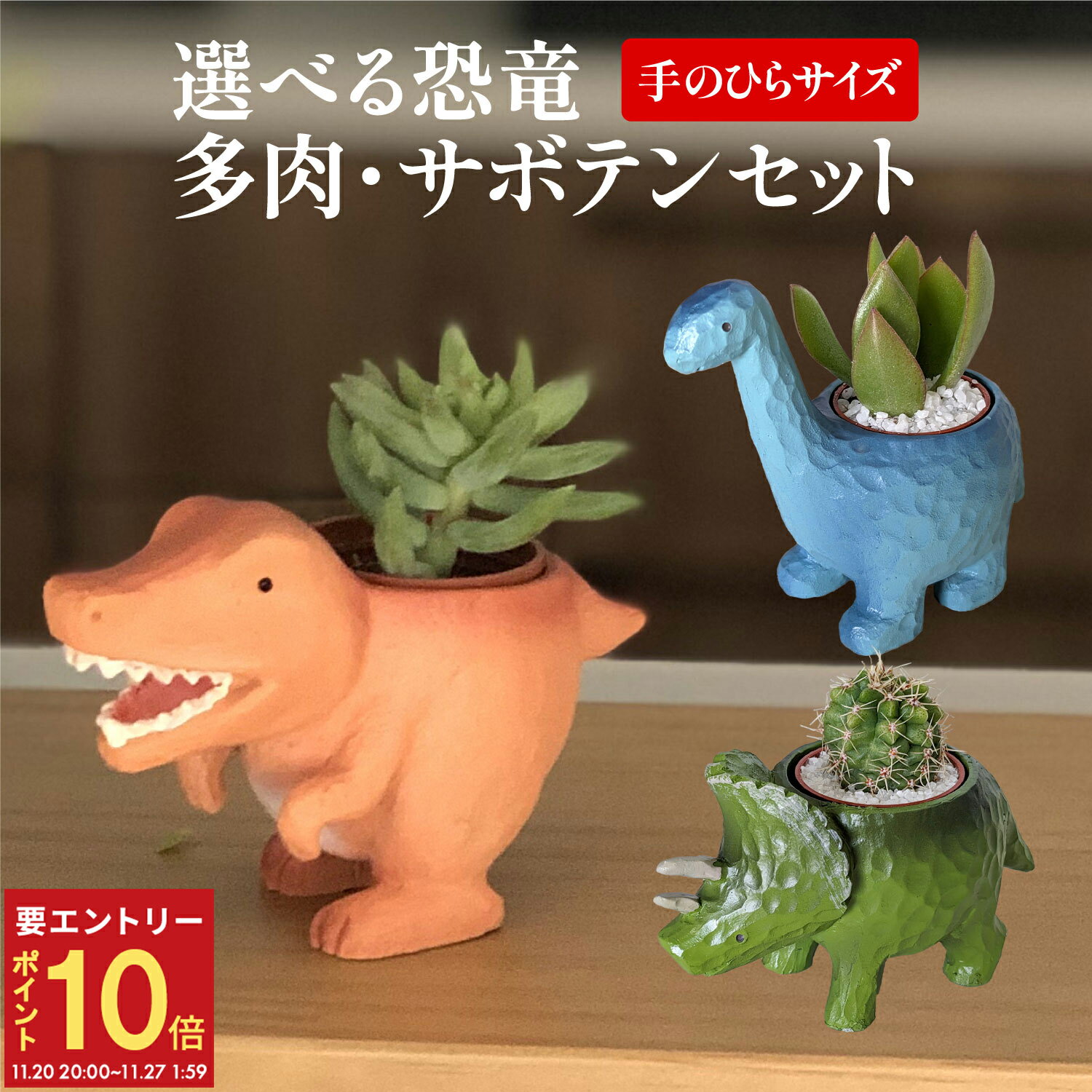 【エントリーでP10倍★20日20時-27日2時】当日発送17時〆 多肉植物 サボテン 鉢植え 多肉 トリケラトプス ティラノサウルス ブラキオサウルス 恐竜 お祝い インテリア 雑貨 オシャレ かわいい 誕生日 プレゼント フラワーギフト サボテン 手のひら ミニ